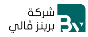 BV - ERP